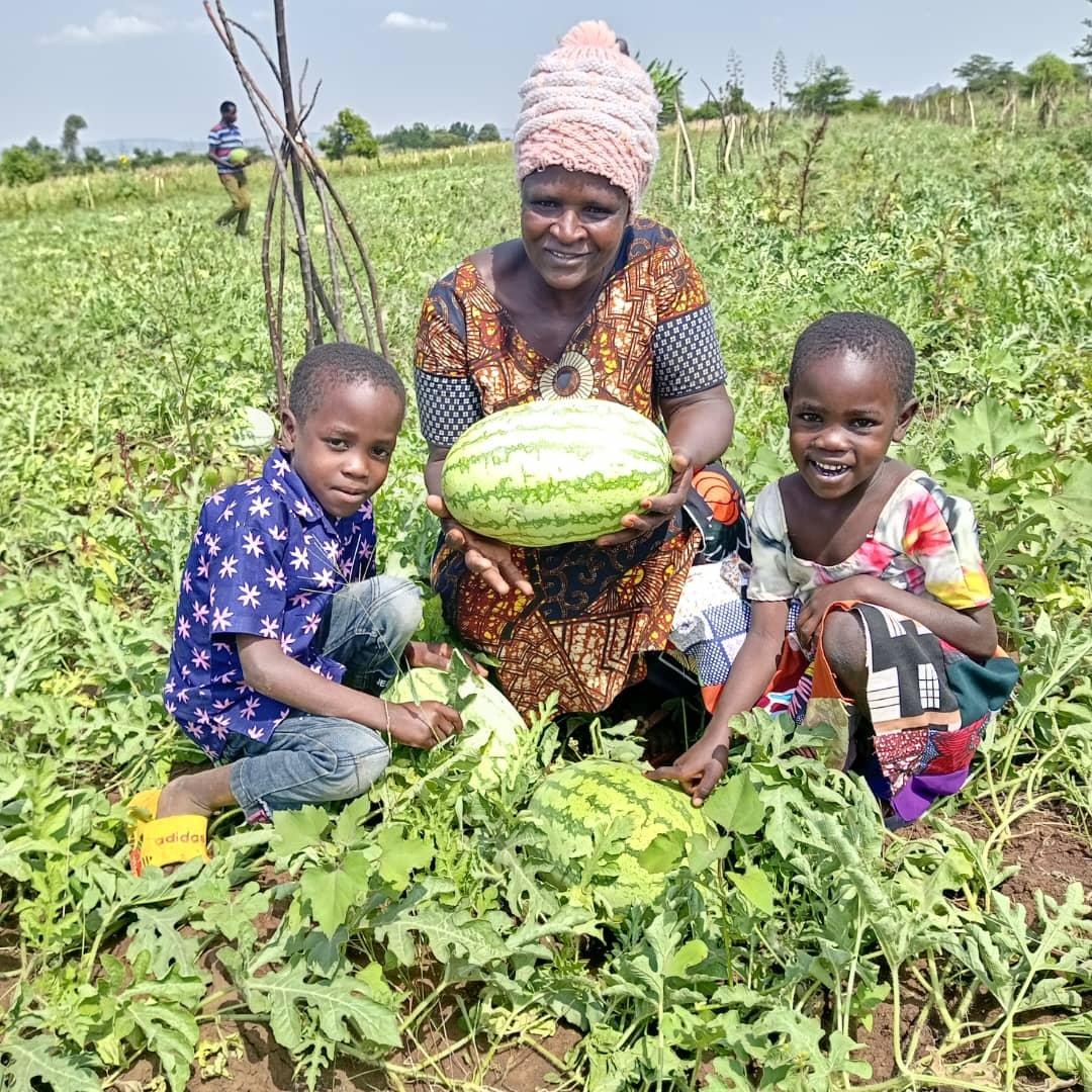 Harvests that nourish families