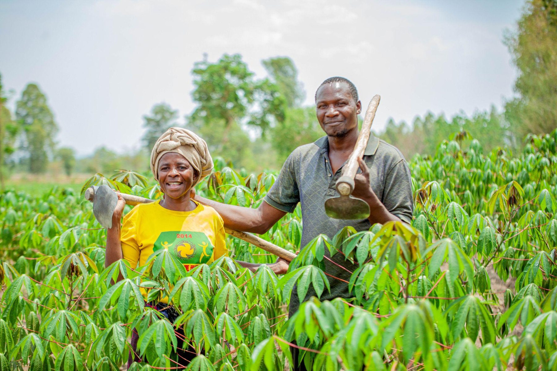 Growing food and livelihoods